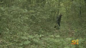 榜样（1）