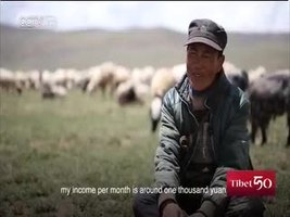 8,000 days as a sheep herder on Tibet prairie