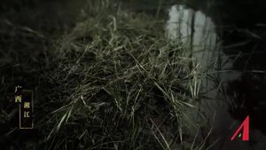 “我们的自信”道路篇——人间正道