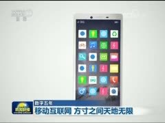 【数字五年】移动互联网 方寸之间天地无限