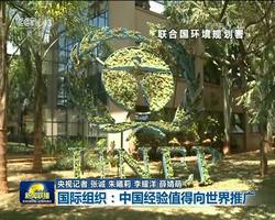 【全球聚焦十九大】国际组织：中国经验值得向世界推广