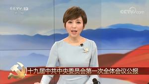 十九届中共中央委员会第一次全体会议公报