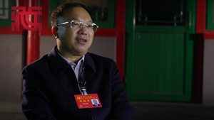 十九大描绘了奋斗目标
