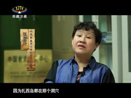 [西藏诱惑]纳木错扎西岛岩画