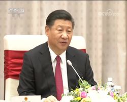 习近平会见越南国会主席