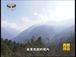[西藏诱惑]亚东木耳