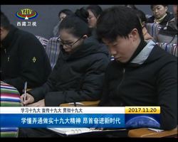 学懂弄通做实十九大精神 昂首奋进新时代