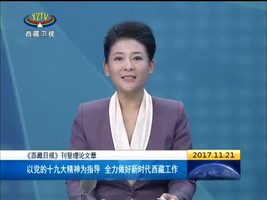  以十九大精神为指导 做好新时代西藏工作