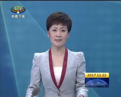 齐扎拉：推动国企国资改革发展事业走向深入