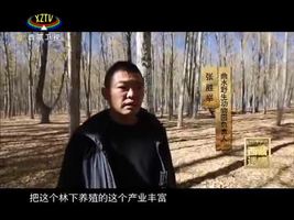 《西藏诱惑》拉萨河畔的来客
