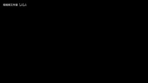 我的中国(1)：登上归途的绿皮车