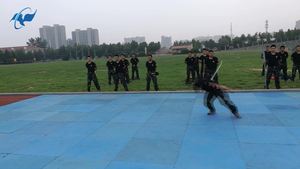 [网络媒体国防行]《战狼2》燃爆了？真实的特种兵身手也不逊色