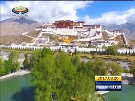 聚力产业援藏 培育受援地“造血功能”