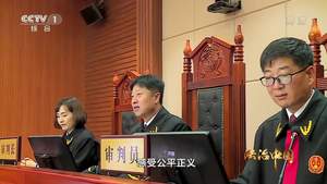《法治中国》 第五集 公正司法（下）