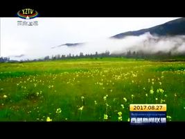 林芝：生态惠民打造绿色发展升级版