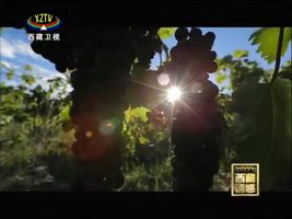 《西藏诱惑》琼果飘香