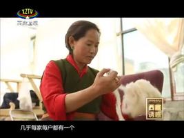《西藏诱惑》谁持彩练当空舞