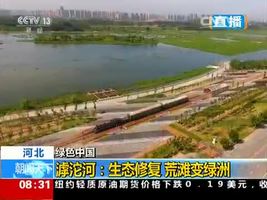 绿色中国 河北 滹沱河：生态修复 荒滩变绿洲