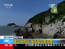绿色中国 浙江温州：建立保护区 海岛成鸟类天堂