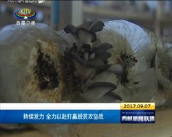 西藏全力以赴打赢脱贫攻坚战