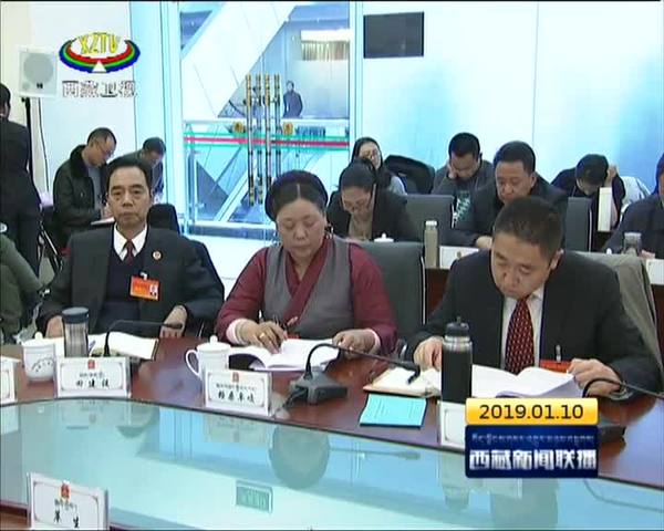 西藏自治区十一届人大二次会议举行分组审议