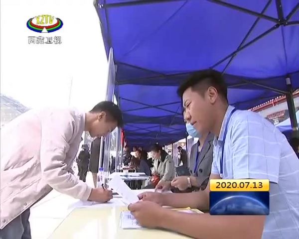 西藏山南市举办2020年高校毕业生夏季专场招聘会暨就业创业经验分享会