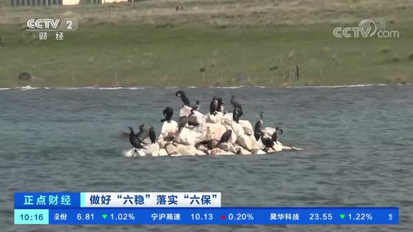 青海湖旅游持续升温