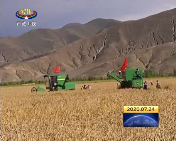 西藏日喀则“百企帮百村”行动3.8万人受益