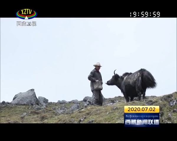 【大山深处的守边人（一）】杰罗布，路长却不遥远！