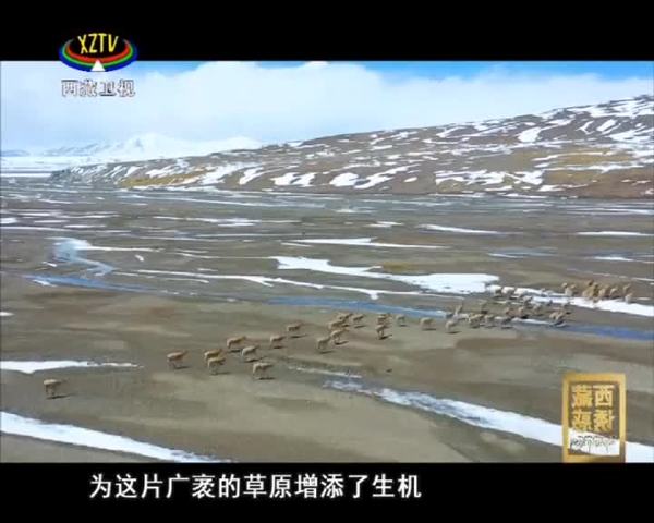 《西藏诱惑》高原如此多娇 第五集 美丽西藏