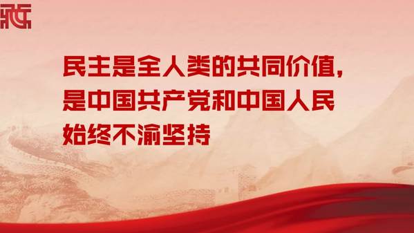 动画【观当下】丨民主是中国共产党和中国人民始终不渝坚持的重要理念