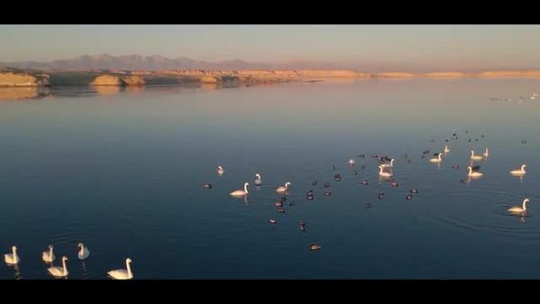 水鸟天堂——托素湖