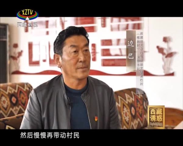 《西藏诱惑》桃源人家