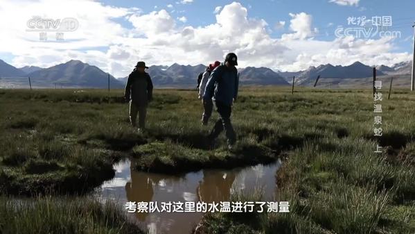 《地理·中国》寻找温泉蛇（上）