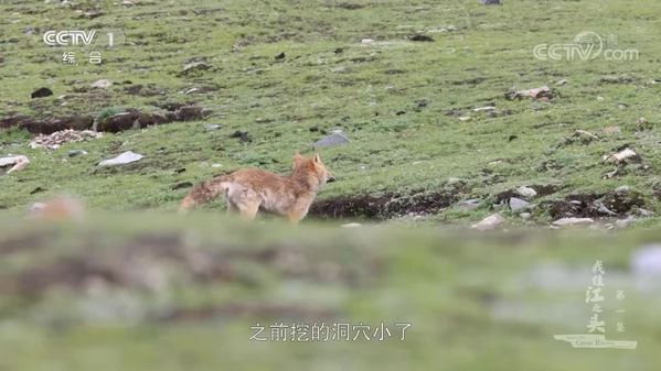 《我住江之头》 第1集 生命