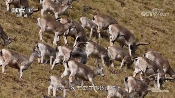 《我住江之头》 第5集 永续