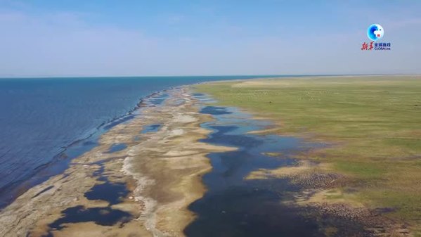 中国最大内陆咸水湖生态持续向好