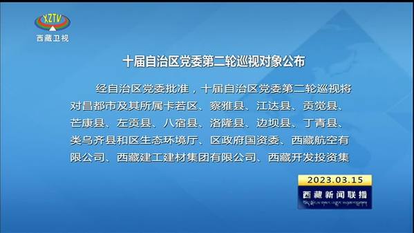 十届西藏自治区党委第二轮巡视对象公布