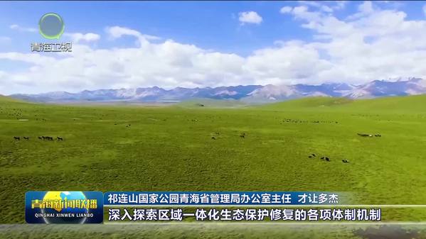 青海省祁连山自然保护地群创新联盟成立
