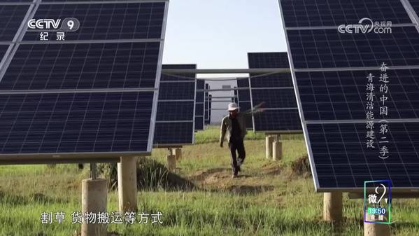 《奋进的中国》第二季 青海清洁能源建设