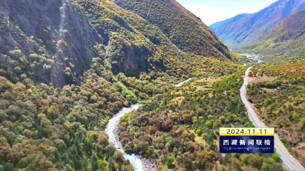 加查县开展“漫山红叶 爱上加查”系列文旅活动