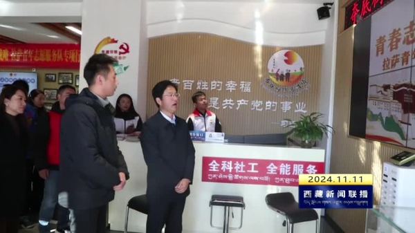 拉萨市青春志愿助力“四大战略”专项行动启动