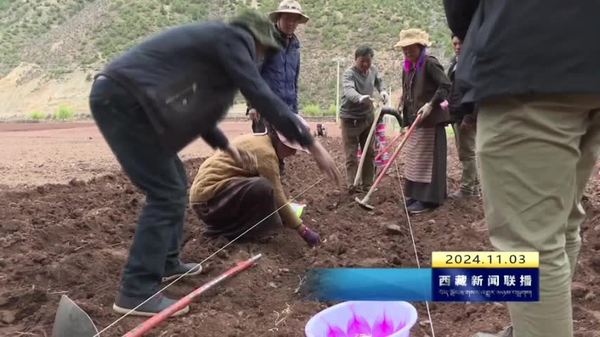 芒康县多措并举助推农牧业高质量发展