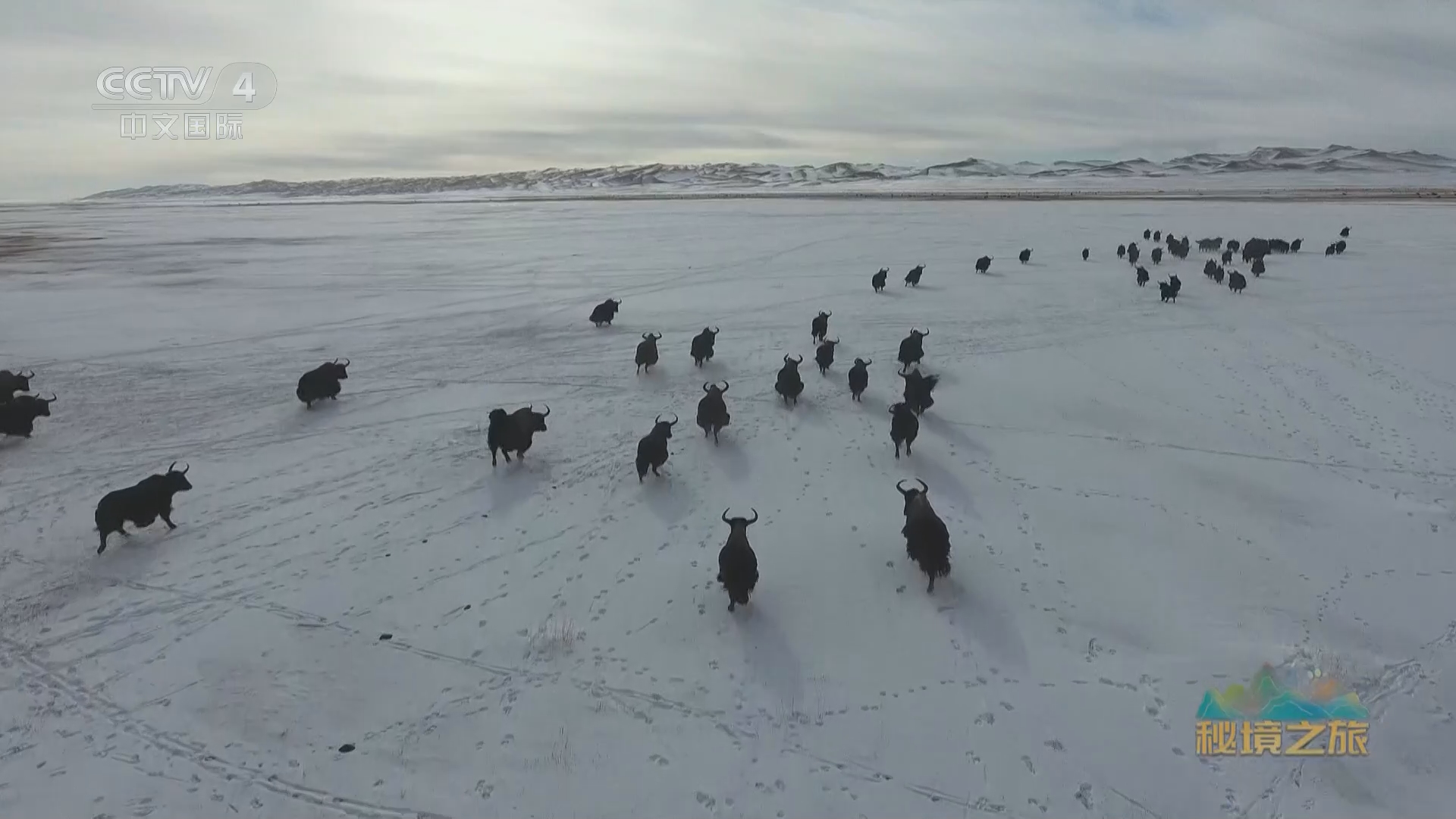 秘境之旅 无人区的野性世界