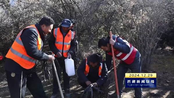 林芝：提升森林防火能力 筑牢安全屏障