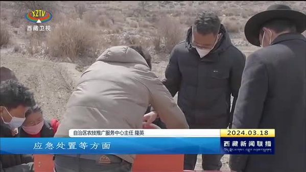 西藏自治区农作物病虫害防治办法施行 为农业发展保驾护航
