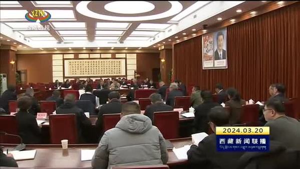 陈永奇主持召开西藏自治区着力创建国家固边兴边富民行动示范区专项组2024年第一次会议