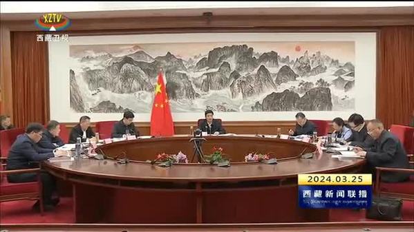 严金海主持召开西藏自治区着力创建高原经济高质量发展先行区专项组会议