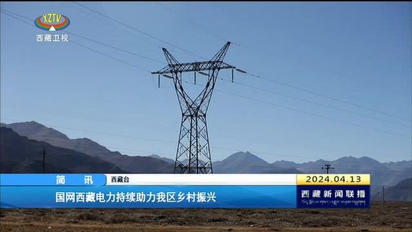 国网西藏电力持续助力我区乡村振兴