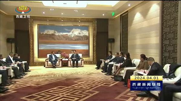 王君正 严金海会见尼泊尔副总理兼外交部长施雷斯塔